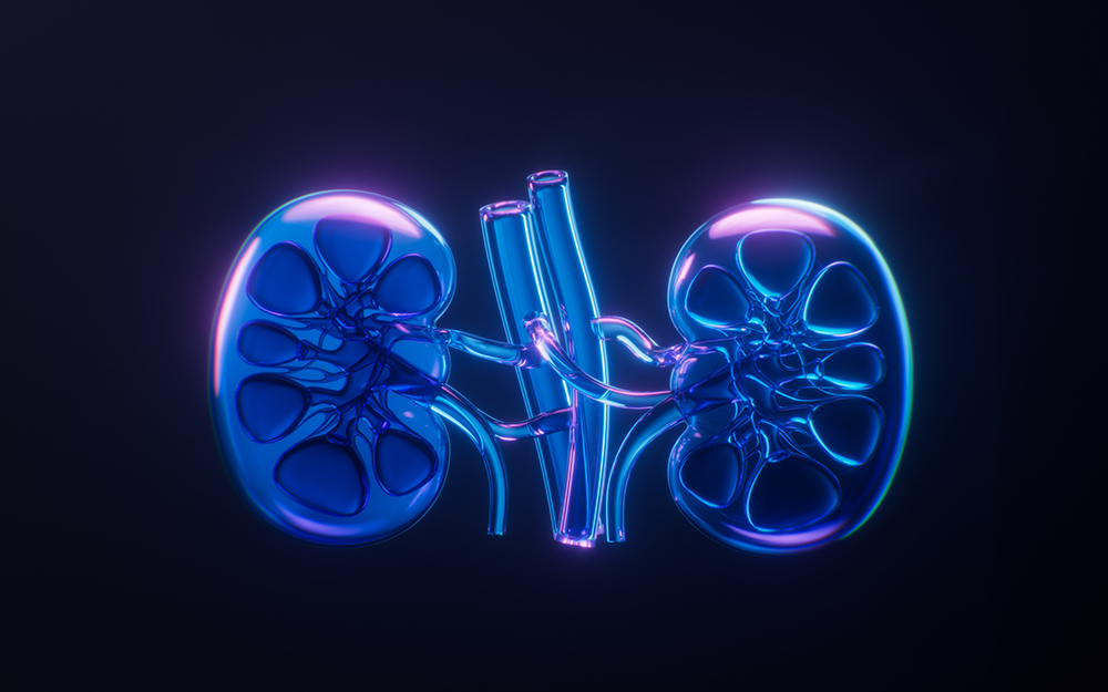 kidney-with-dark-neon-light-effect-3d-rendering.jpg